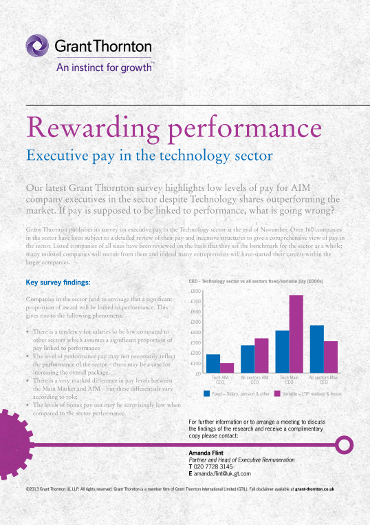 Executive pay in technology sector